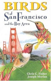 Birds of San Francisco and the Bay Area (City Bird Guides)