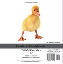 Ducks Calendar 2016: 16 Month Calendar