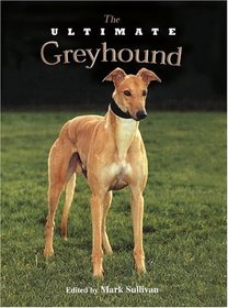 The Ultimate Greyhound