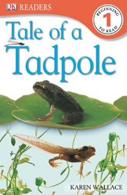 Tale of a Tadpole (DK Eyewitness Readers: Level 1)