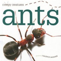 Ants (Creepy Creatures)