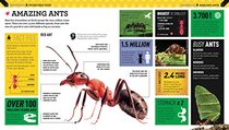 Superstats: Incredible Bugs