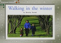 Walking in the Winter