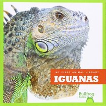 Iguanas (My First Animal Library)