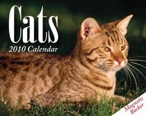 Cats: 2010 Mini Day-to-Day Calendar