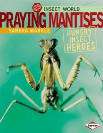 Praying Mantises: Hungry Insect Heroes (Insect World)