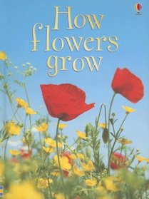 How Flowers Grow (Usborne Beginners, Level 1)