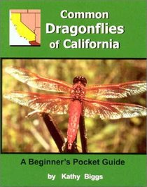 Common Dragonflies of California : A Beginner's Pocket Guide