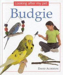 Looking After My Pet Budgie