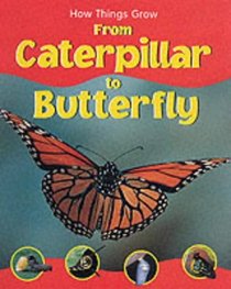 From Caterpillar to Butterfly (How Things Grow)