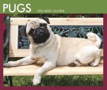 Pugs 2008 Boxed Calendar