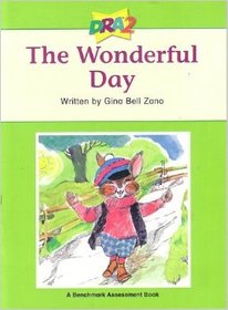 The Wonderful Day (A Benchmark Assessment Book Level24)