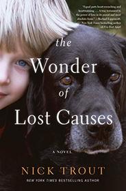 The Wonder of Lost Causes: A Novel