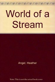 The World of a Stream