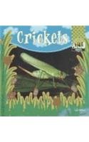 Crickets (Insects)
