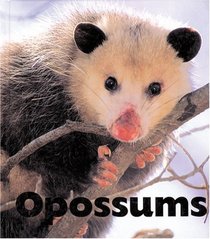 Opossums (Naturebooks)