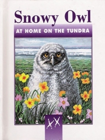 Snowy Owl: At Home on the Tundra