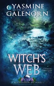 Witch's Web: A Paranormal Women's Fiction Novel