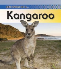 Kangaroo: 2nd Edition (Life Cycle of a)