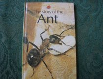 The Story of the Ant (Natural History)