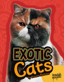 Exotic Cats (Edge Books: All about Cats)