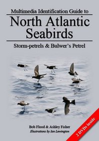 Storm-Petrels and Builder's Petrel (North Atlantic Seabirds)