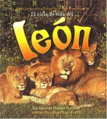 El Ciclo De Vida De un Leon / Life Cycle of a Lion (The Life Cycle)