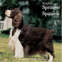 English Springer Spaniels 2007 Wall Calendar