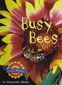 Busy Bees, on Level Level 2.4.2: Houghton Mifflin Reading Leveled Readers