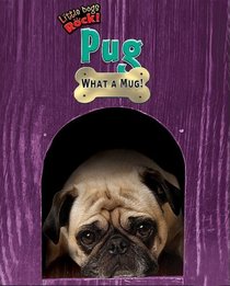 Pug: What a Mug! (Little Dogs Rock!)