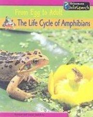 The Life Cycle of Amphibians (From Egg to Adult)
