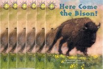Here Come the Bison! Class Set (Sunshine Nonfiction, Level I) (6-Pack)