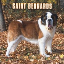 Saint Bernards 2007 Calendar