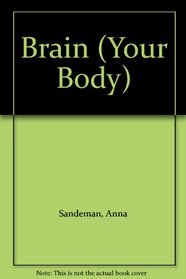 Brain (Your Body)