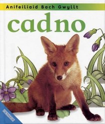 Cadno (Anifeiliad Bach Gwyllt) (Welsh Edition)