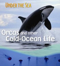 Orcas and Other Cold-ocean Life (Under the Sea)