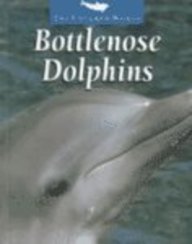 Bottlenose Dolphins (The Untamed World)