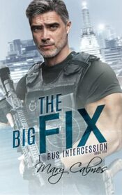The Big Fix: Torus Intercession Book Five