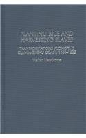 Planting Rice and Harvesting Slaves: Transformations along the Guinea-Bissau Coast,1400-1900 (Social History of Africa Series)