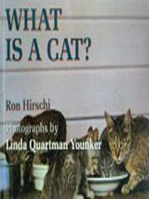 What Is a Cat?