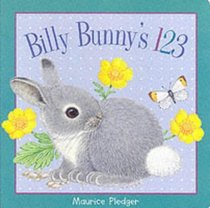 Billy Bunny's 123 (Maurice Pledger Board Books)