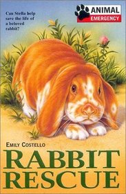 Rabbit Rescue (Animal Emergency)