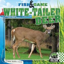White-Tailed Deer (Fish & Game)
