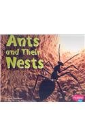 Ants and Their Nests (Animal Homes)