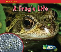 A Frog's Life (Acorn)