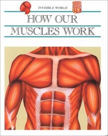 How Our Muscles Work (Invisible World)
