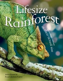 Lifesize: Rainforest: See Rainforest Creatures at Their Actual Size