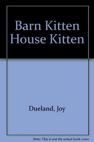 Barn Kitten House Kitten