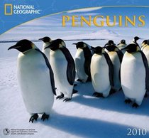 Penguins - 2010 National Geographic Wall Calendar