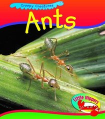 Ant (Little Nippers: Creepy Creatures)